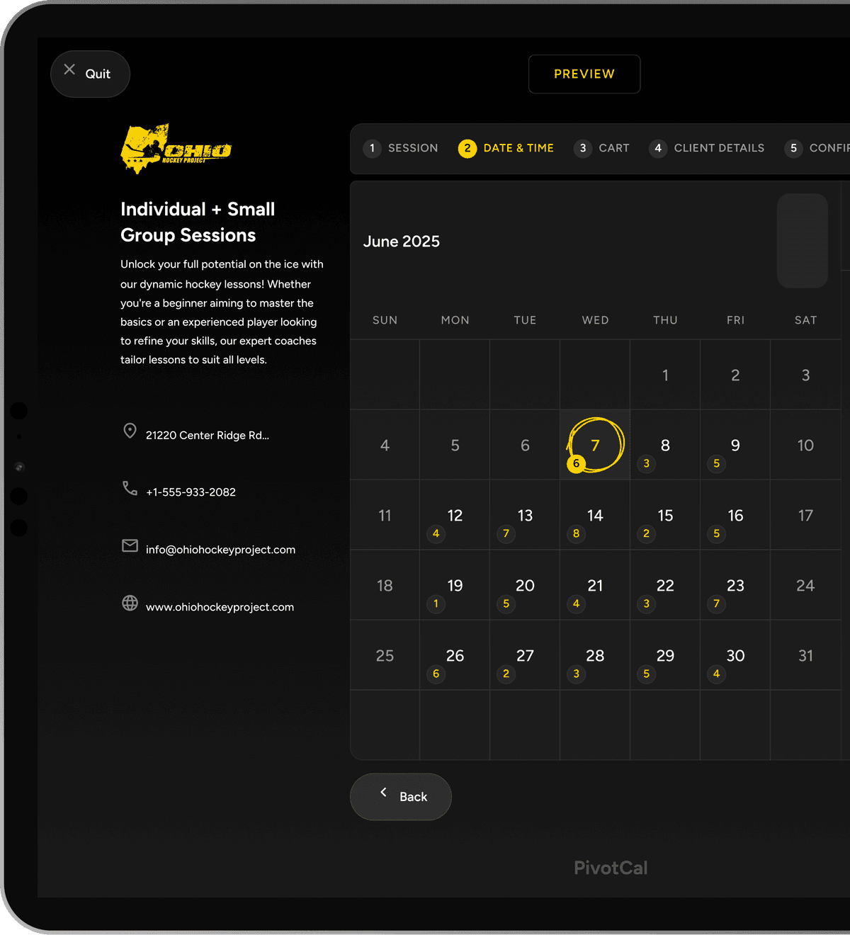 Badger dashboard preview